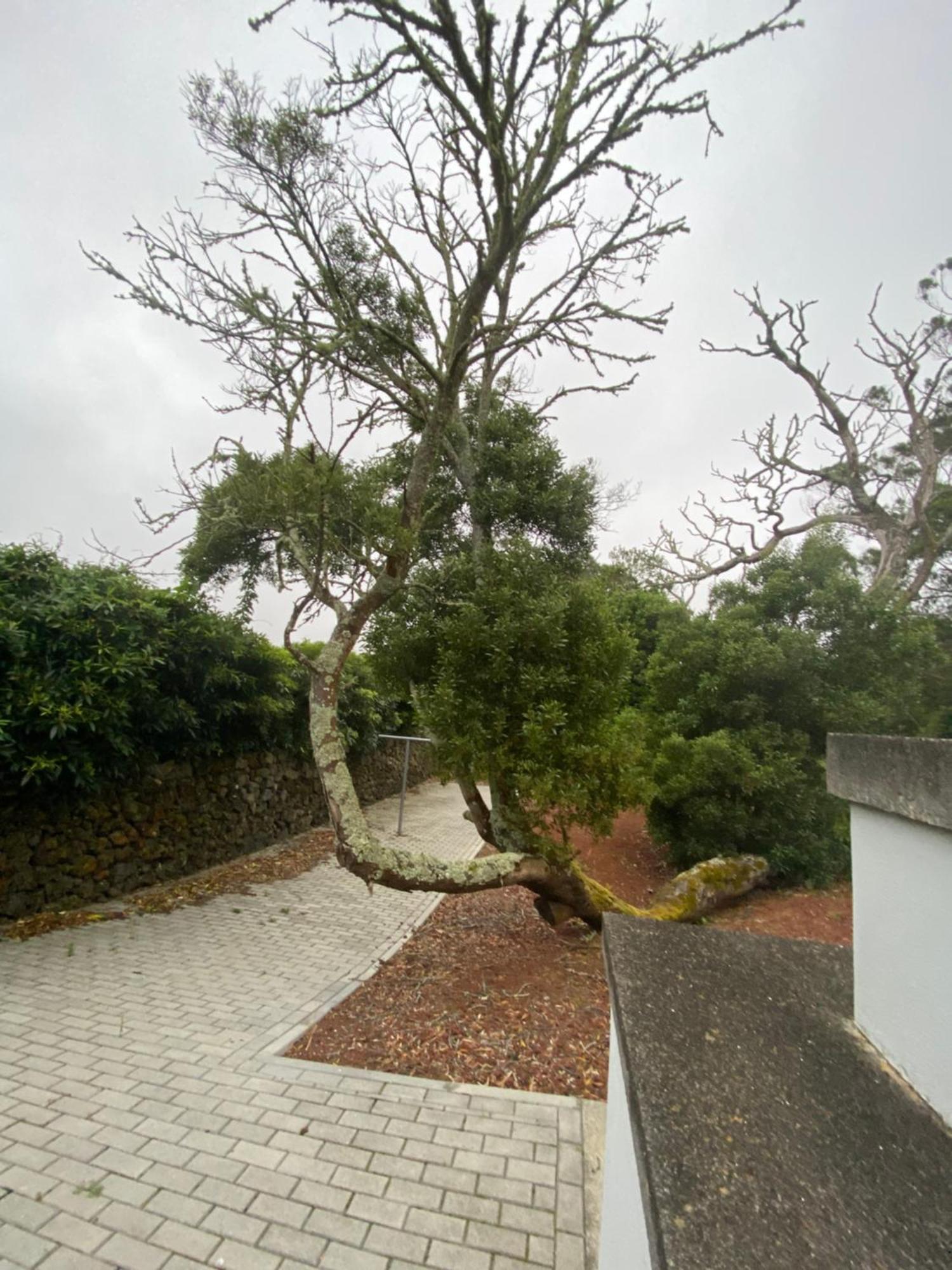 Casa Azul Terceira Island Azores Fonte do Bustardo Екстер'єр фото